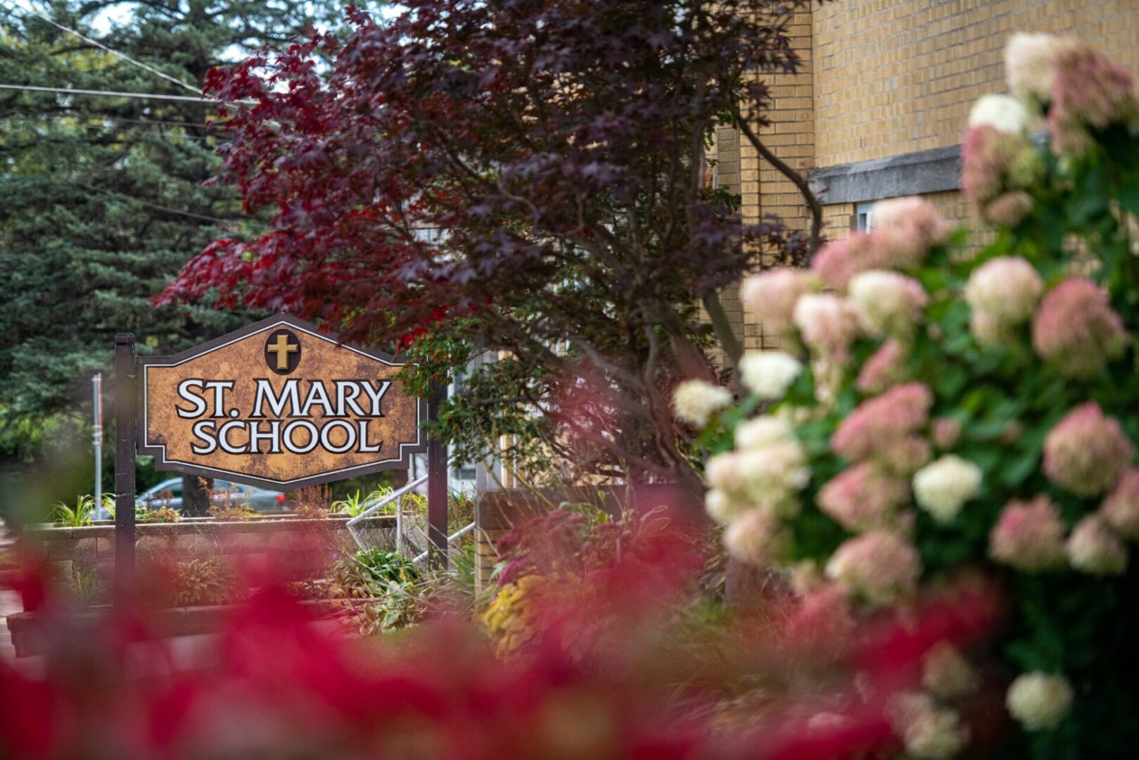 A New Principal is Hired to Lead St. Mary School - St. Anthony and St ...